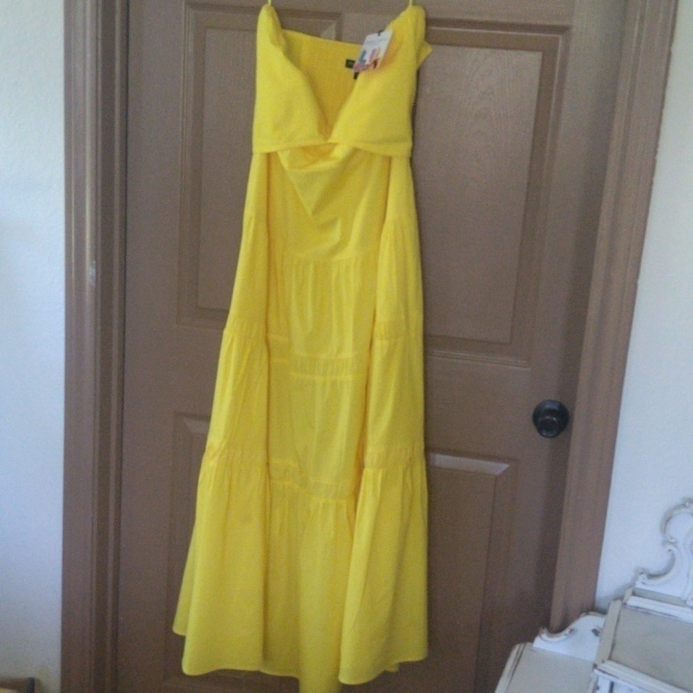 NWT Plus Size Ladies Designer Dress